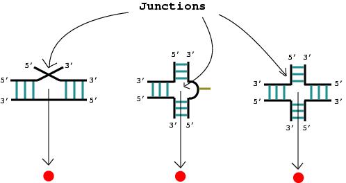 junctions
